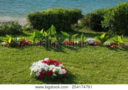 Lush Flowerbeds In The Summer Garden. A Bright Sunny Day. In The Background The Sea.
