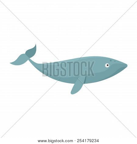 Finback Whale Icon. Flat Illustration Of Finback Whale Icon For Web Isolated On White