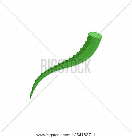 Piece Of Aloe Icon. Flat Illustration Of Piece Of Aloe Icon For Web Isolated On White