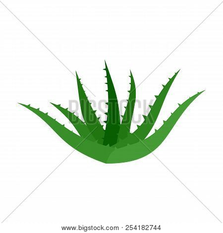 Aloe Vera Icon. Flat Illustration Of Aloe Vera Icon For Web Isolated On White