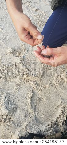 Hooking Shrimps Bait On Hook For Fishing Rod’s System Near Baltic Sea