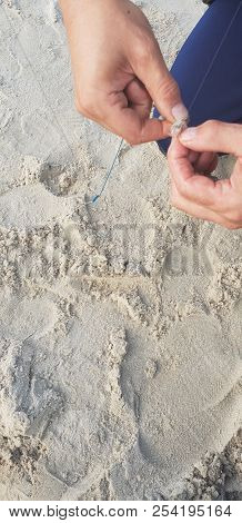 Hooking Shrimps Bait On Hook For Fishing Rod’s System Near Baltic Sea