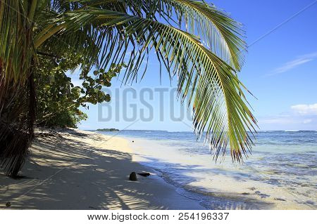 Tropical Beach Of Zapatilla Sur. Bocas Del Toro, Panama