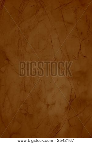 กายวิภาคกระดาษ