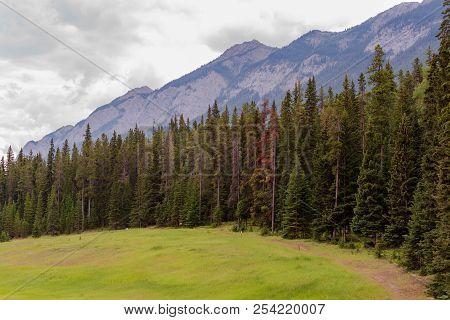 A Ring Of Trees Surrounds A Hole On A Golf Course. The Candian Rockies Are In The Background.