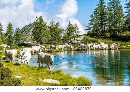 The Lake Of Rocca La Meja Called 