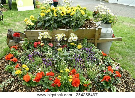 Flowers Displayed With A Theame Of Farm