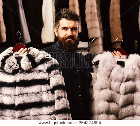 Man With Beard And Mustache In Fur Shop. Shop Assistant Holds Grey Sable And Striped Chinchilla Fur 