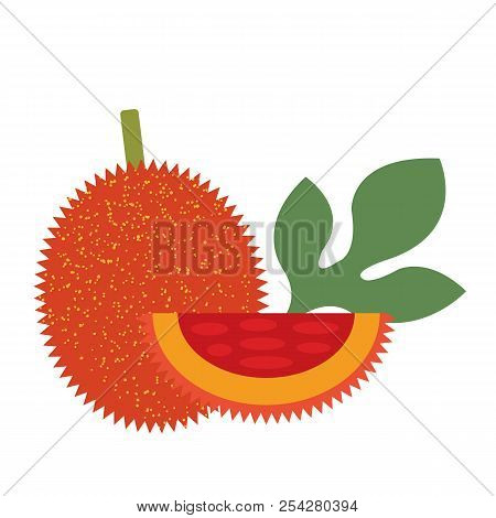 Healthy Organic Ripe Gac Fruit, Colorful Tropical Nature Fresh Fruit Objects.