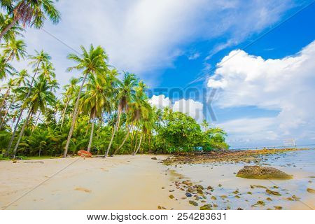 Paradise Idyllic Sea Beach With Coconut Palm Tree