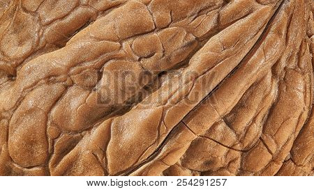 Walnut Shell Extreme Macro As Package Design Element Collection. Texture Closeup Detail Nut Shell Fo