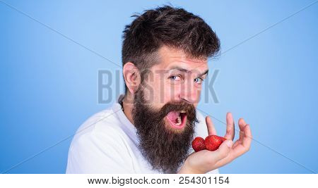 Man Happy Face Open Mouth With Beard Eats Strawberries. Want To Try My Berry Hipster Bearded Holds S