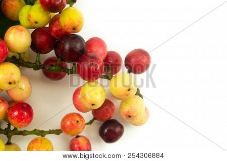 Close Up Thai Blueberry On White Background