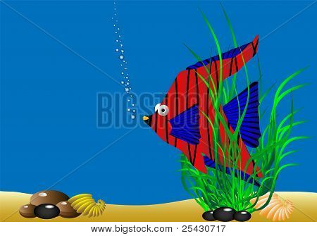 Sea life