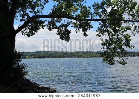 A View Across The Calm Water On Canandaigua Lake. Tree On The Shore