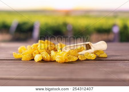 Lot Of Whole Dry Golden Raisins Sultana Variety With Wooden Scoop With Vineyard In Background