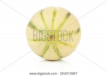 One Whole Globe Fresh Melon Cantaloupe Variety Isolated On White Background