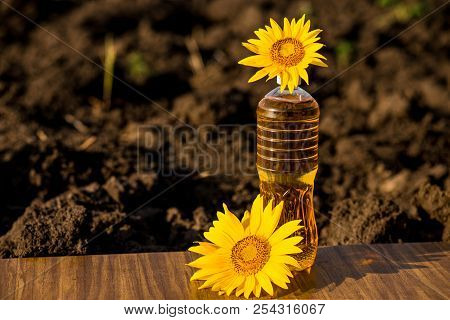 Sunflower Oil In Bottle On Wooden Table With Ground Background. Photo With Copy Space Area For Text