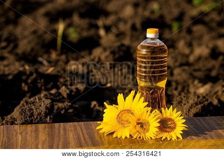 Sunflower Oil In Bottle On Wooden Table With Ground Background. Photo With Copy Space Area For Text