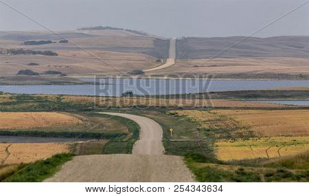 Summer Prairie Scene