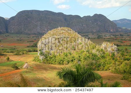 Cuba - paisaje kárstico