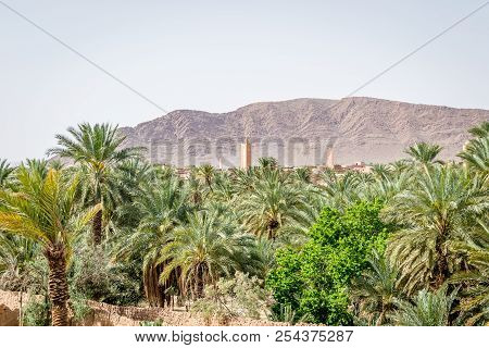 Desert Of Figuig