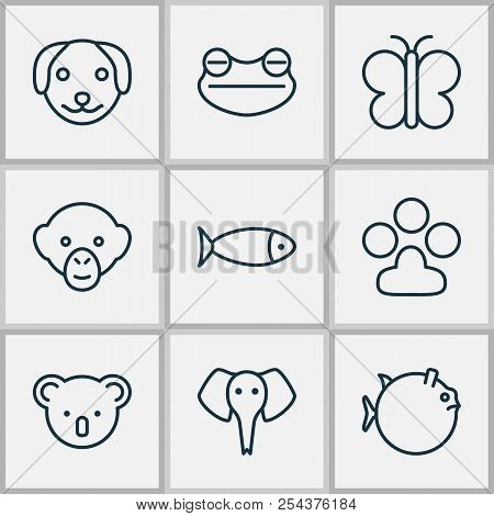 Nature Icons Set With Koala, Frog, Seafood And Other Moth Elements. Isolated Vector Illustration Nat