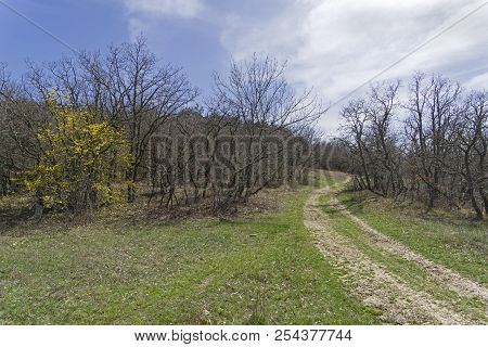 The Dirt Road Descending From The Tokluk-syrt Mountain Ridge, Crimea. Spring, Early April.