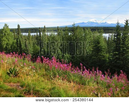Perfect Landscape With Mount Drum And Willow Lake