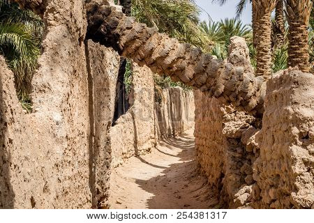 Desert Of Figuig