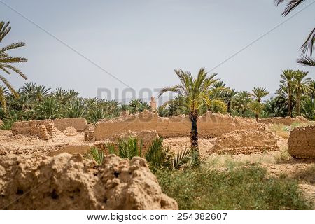 Desert Of Figuig