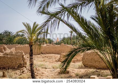 Desert Of Figuig