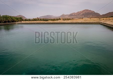 Desert Of Figuig