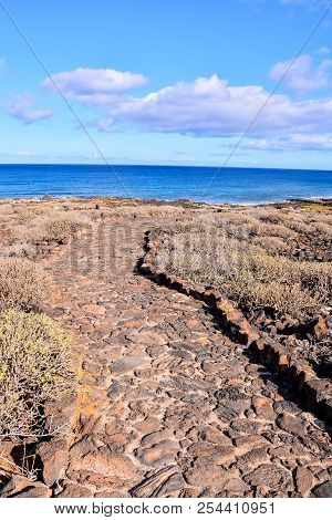 Photo Picture Of A Countryside Desert Dirt Road
