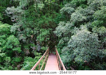 The Path Of The Gole Del Calore In The Heart Of The Cilento Nati