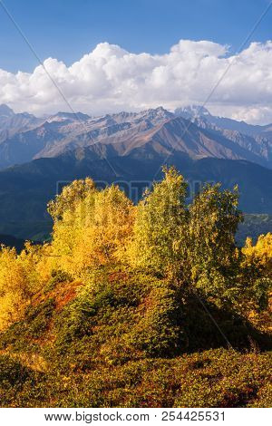 Autumn landscape. Top Ushba in clouds. Birch forest on the hillside. View from Mount Mkheer. Main Caucasian ridge. Zemo Svaneti, Georgia 