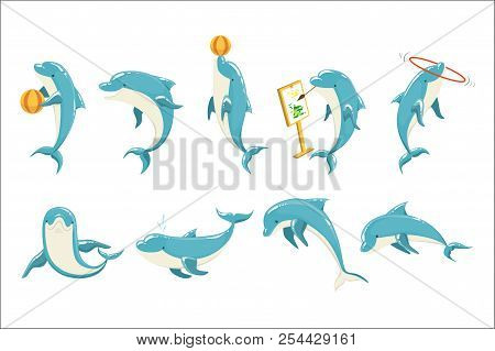Bottlenose Dolphin Performing Tricks Set Of Illustrations