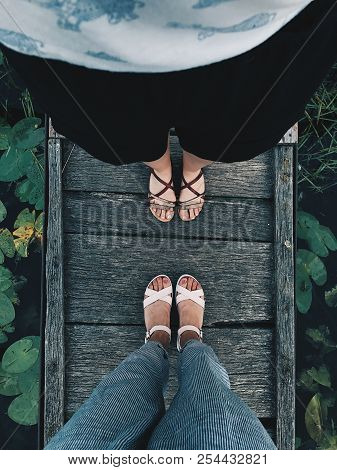 Ground With Lots Of Plants, Ferns, Lush Green Moss. Beautiful Background Of Natural Floor With Femal