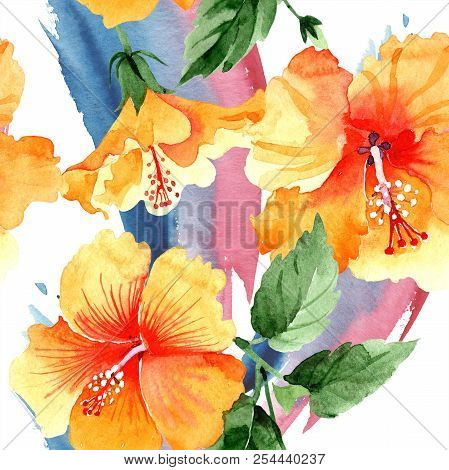 Watercolor Orange Naranja Hibiscus Flowers. Floral Botanical Flower. Seamless Background Pattern.