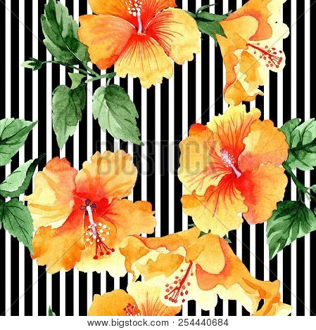 Watercolor Orange Naranja Hibiscus Flowers. Floral Botanical Flower. Seamless Background Pattern.