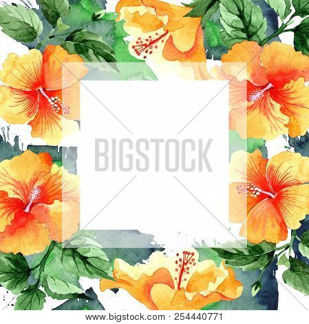 Watercolor Orange Naranja Hibiscus Flowers. Floral Botanical Flower. Frame Border Ornament Square.