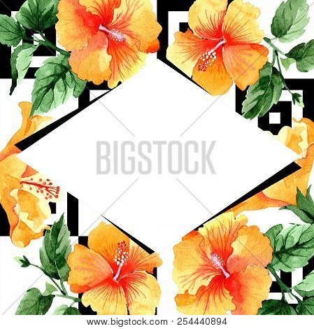 Watercolor Orange Naranja Hibiscus Flowers. Floral Botanical Flower. Frame Border Ornament Square.