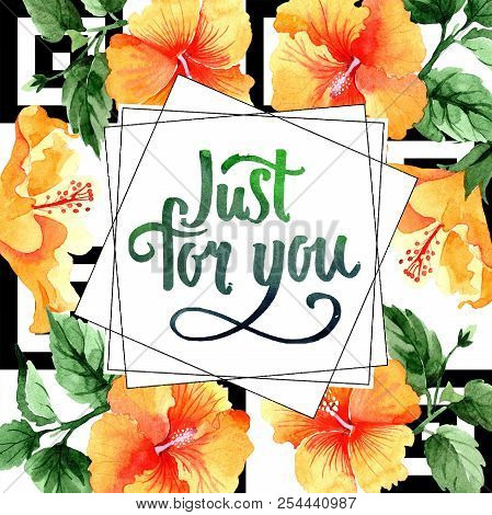 Watercolor Orange Naranja Hibiscus Flowers. Floral Botanical Flower. Frame Border Ornament Square.