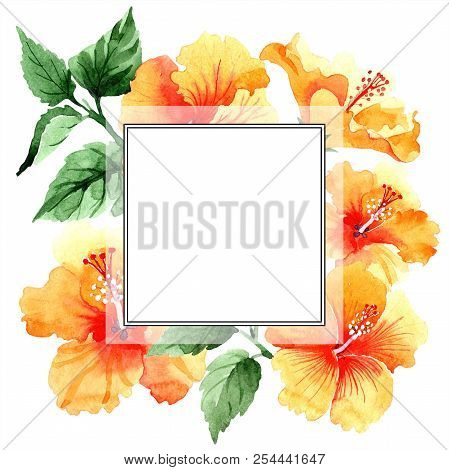 Watercolor Orange Naranja Hibiscus Flowers. Floral Botanical Flower. Frame Border Ornament Square.