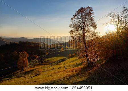 Colorful Autumn Landscape In Romanian Mountain, Close Up