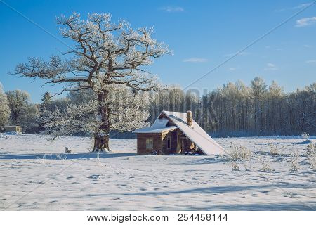 Cold Winter In Latvia. Travel Photo. House And Trees.