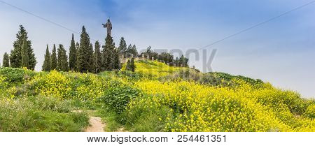 Panorama Of Rapeseed Flower And Jesus Statue In Tudela, Spain