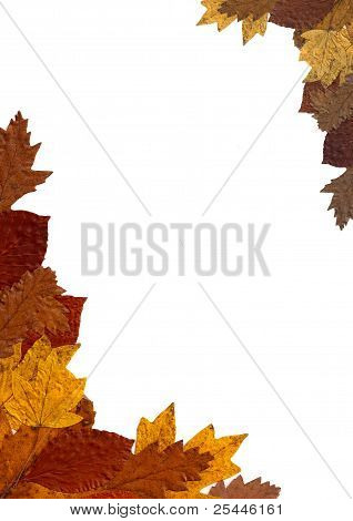 Autumn Leaves Frame