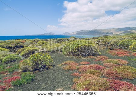 Lanzerote Beach With Blue Atlantic Ocean.