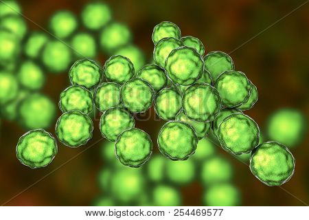 Chlamydia Trachomatis Bacteria, 3d Illustration, The Causative Agent Of Chlamydiosis